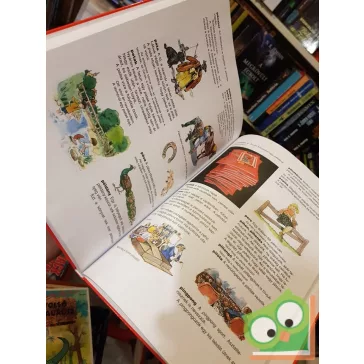 Mérei Ferenc, V. Binét Ágnes: Ablak-Zsiráf