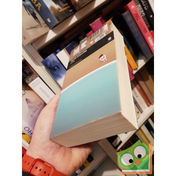 Silvia Avallone: Acél (Ritka)