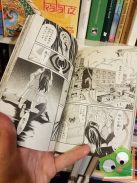 Adachitoka: Noragami Vol 13. (japán nyelvű manga)