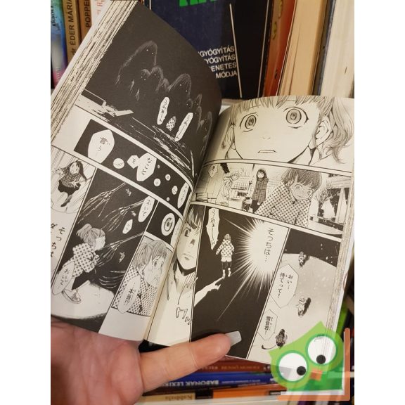 Adachitoka: Noragami Vol 2. (japán nyelvű manga)