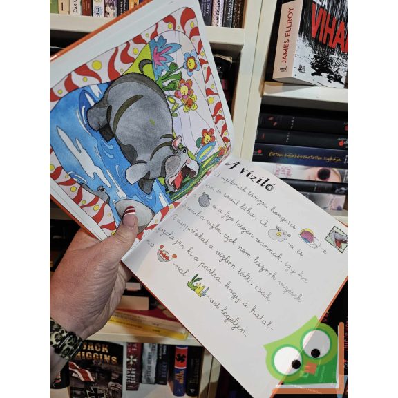 Francesca Massa - Francesca Bignotti: Afrikai állatok (Olvasd el, találd ki!)