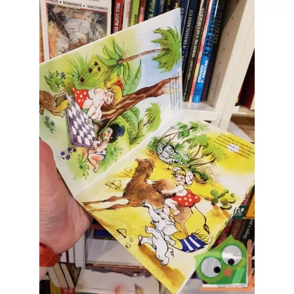 Tóth Anna: Afrikai mese (leporelló)