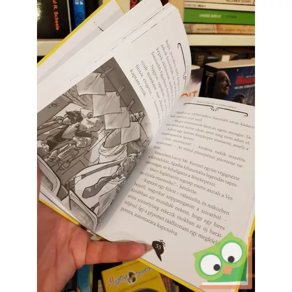 Sir Steve Stevenson: Titokzatos bűntény az Eiffel-toronyban (Agatha nyomoz 4.)