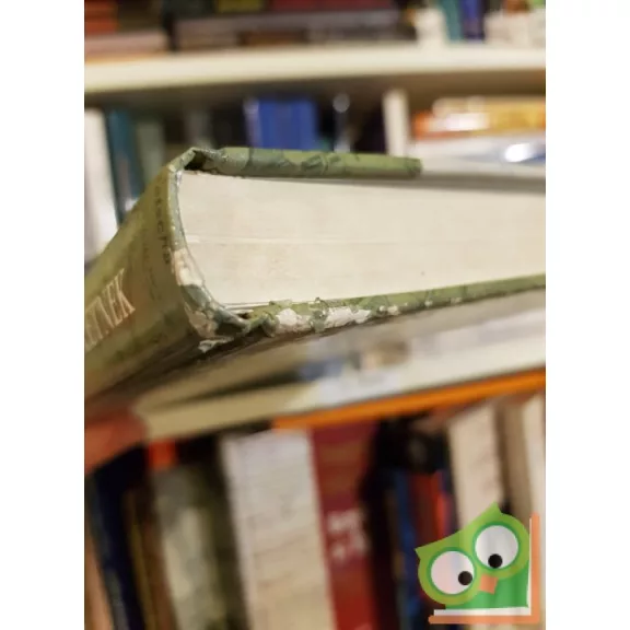 Babucs Zoltán, Maruzs Roland: Ahol a hősök születnek