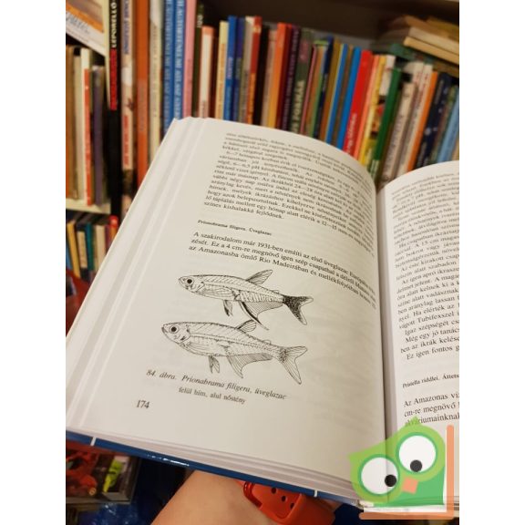 Horn Péter - Zsilinszky Sándor: Akvarisztika