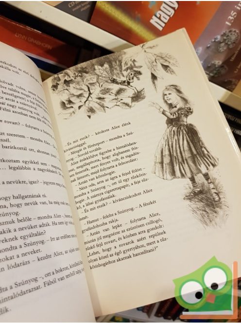 Lewis Carroll: Alice Tükörországban (Alice 2.)