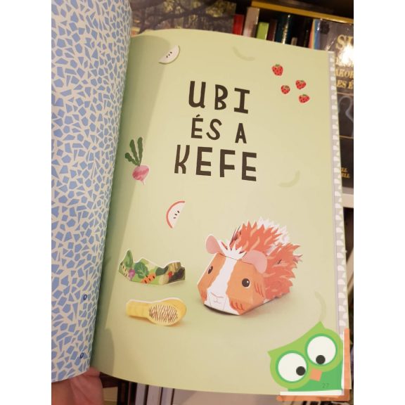 Ruby Taylor, Richard Jewitt: Állati jó hajtogató