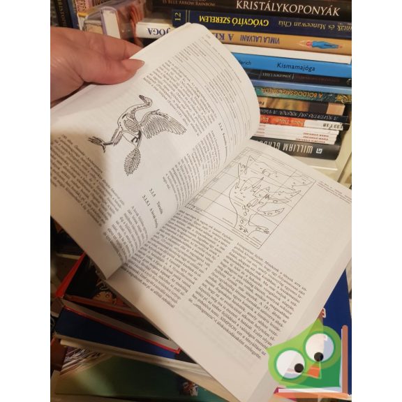 Robert Pies-Schulz-Hofen: Az állatkerti állattartás alapjai (nagyon ritka)