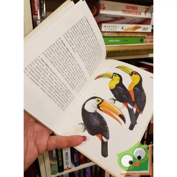 Vargha Béla: Állatkerti madarak (Búvár zsebkönyvek)