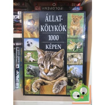 Állatkölykök 1000 képen