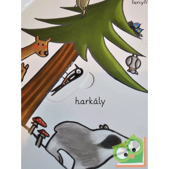 Martina Badstuber: Állatok (Első ablakos képes szótáram)