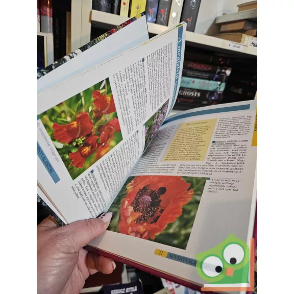 Brigitte Klemme: Allergiamentes kertek