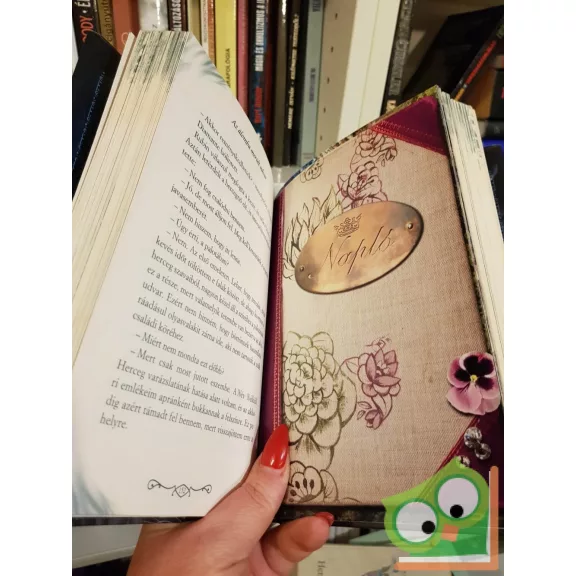 Tea Stilton: Az álom királynője (A Fantázia Birodalmának hercegnői 6.) (ritka)