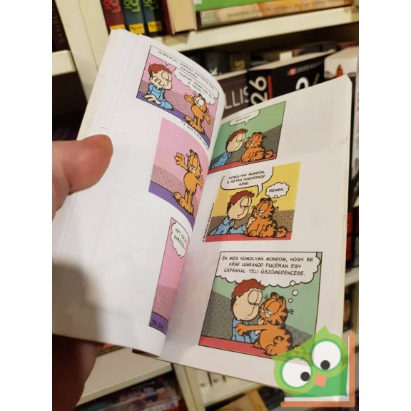 Jim Davis: Zseb-Garfield 63. Álom páros