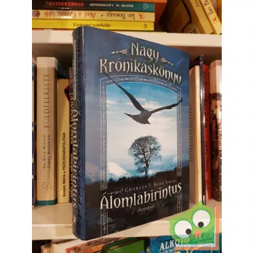 Charles T. Rose: Álomlabirintus (Nagy Krónikáskönyv 1.)