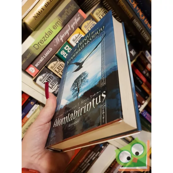 Charles T. Rose: Álomlabirintus (Nagy Krónikáskönyv 1.)