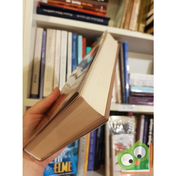 Chris Kyle, Scott McEwen, Jim DeFelice: Amerikai mesterlövész