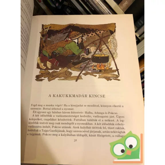 Dmitrij Nagiskin: Amur-parti mesék