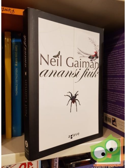 Neil Gaiman: Anansi fiúk
