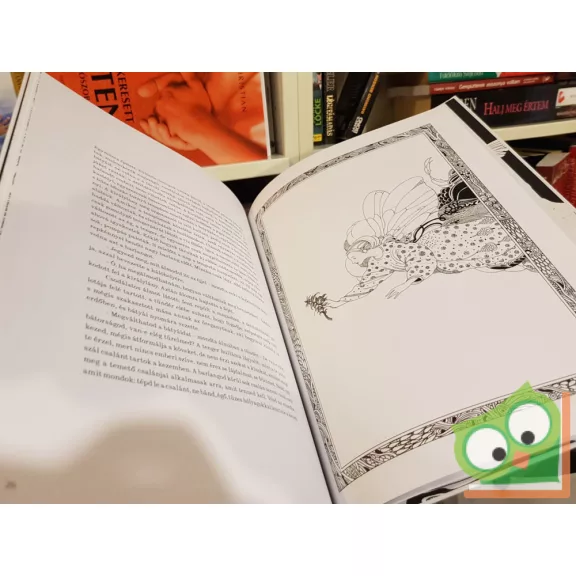 Hans Christian Andersen: A vadhattyúk