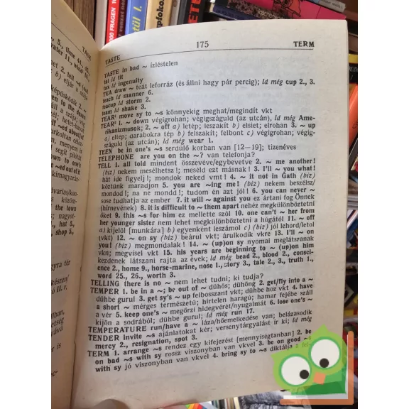 Magay Tamás, Lukácsné Láng Ilona: Anglicizmusok, Amerikanizmusok