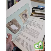 Csikváry László Az angóranyúl tenyésztése