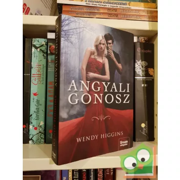 Wendy Higgins: Angyali gonosz (Sweet Evil 1.) (ritka)