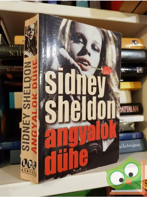 Sidney Sheldon: Angyalok dühe