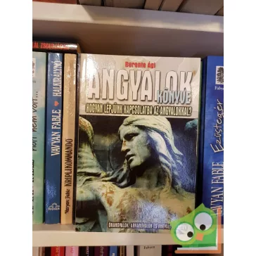 Berente Ági: Angyalok könyve