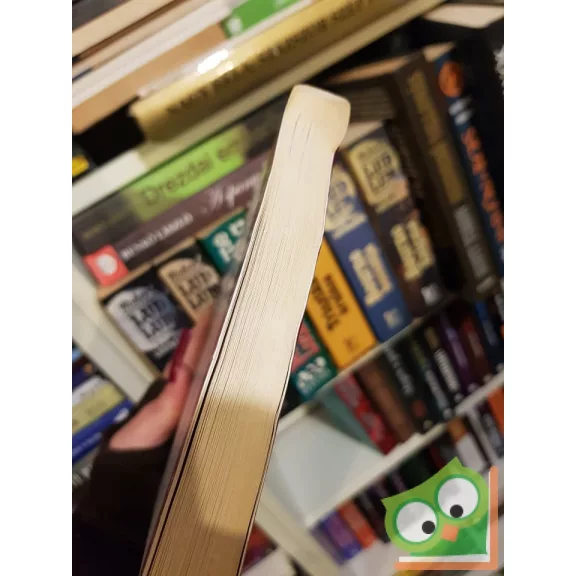 Geoffrey Hoppe, Linda Hoppe: Az angyalok útja  (Nagyon ritka)