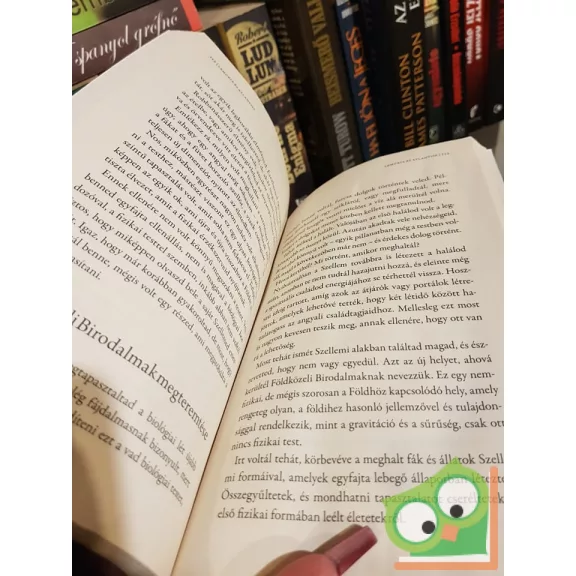 Geoffrey Hoppe, Linda Hoppe: Az angyalok útja  (Nagyon ritka)