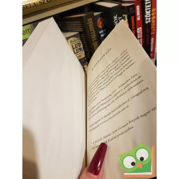 Geoffrey Hoppe, Linda Hoppe: Az angyalok útja  (Nagyon ritka)