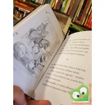 Anna és Elza 4. - A fantasztikus jégszelő (Disney)