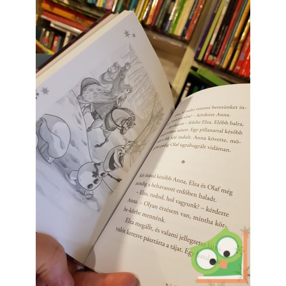 Anna és Elza 4. - A fantasztikus jégszelő (Disney)