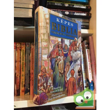 Anne de Graaf: Képes ​Biblia