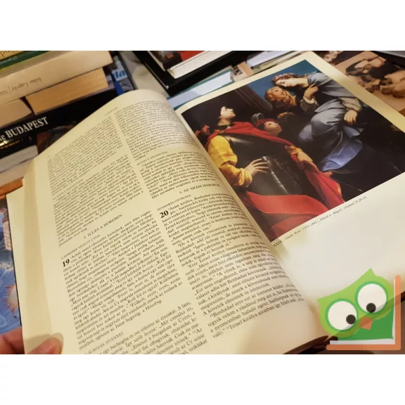 Anne de Graaf: Képes ​Biblia