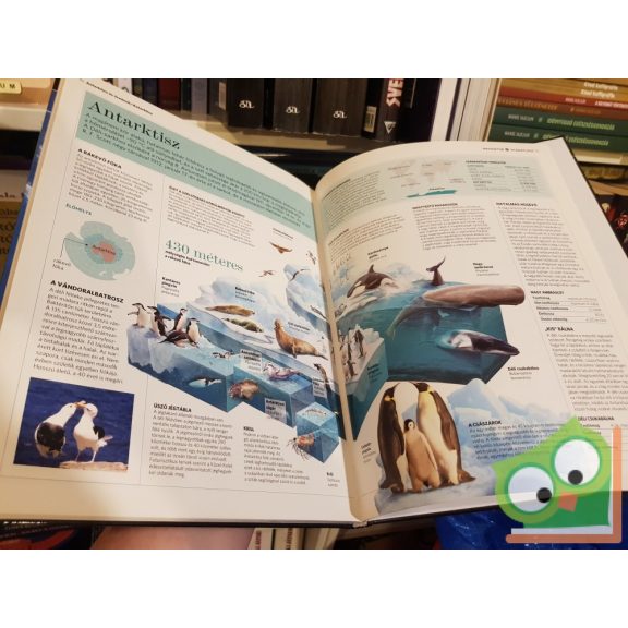 Antarktisz és óceánok, Földrajzi Névmutató (Navigátor Világatlasz)