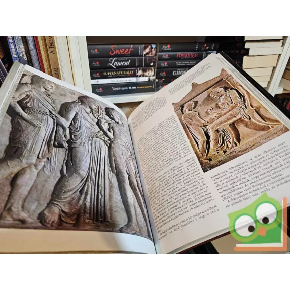 Aradi Nóra (szerk.): Az antik világ (A művészet története)