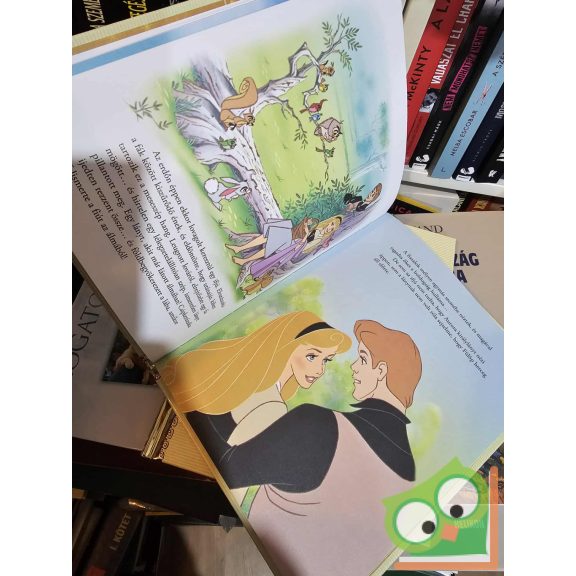 Walt Disney - Csipkerózsika (Mesék az aranygyűjteményből 30.)