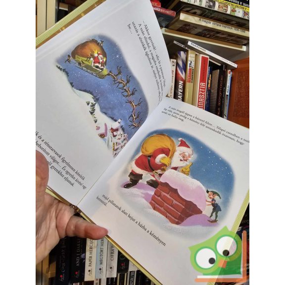 Walt Disney - Télapó műhelye (Mesék az aranygyűjteményből 66.) (újszerű) (fóliás)