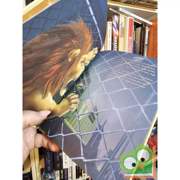 Walt Disney - Vadkaland (Mesék az aranygyűjteményből 78.) (újszerű)