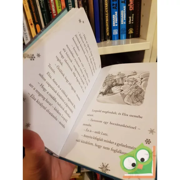 Erica David: Az Arendelle-kupa (Anna és Elza 6.)