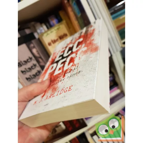 M. J. Arlidge: Ecc, pecc (Helen Grace 1.)