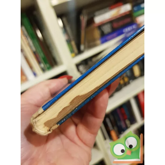 T. Aszódi Éva (szerk.): Aranykapu - Mai költők versei mai gyerekeknek