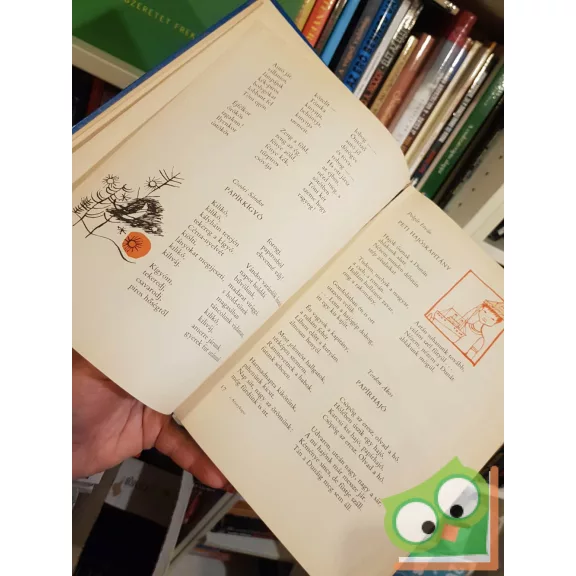 T. Aszódi Éva (szerk.): Aranykapu - Mai költők versei mai gyerekeknek