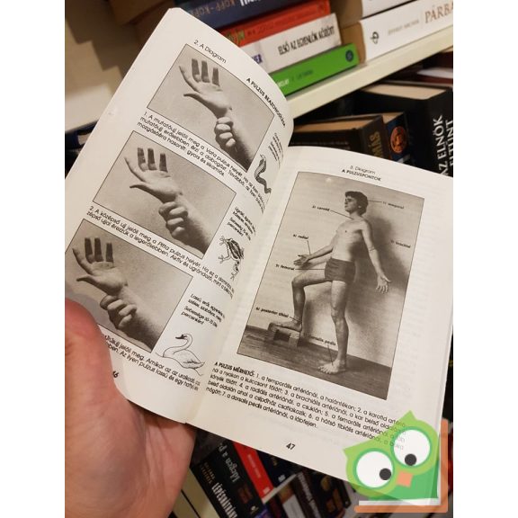 Vasant Lad: Ayurvéda- Az öngyógyítás tudománya