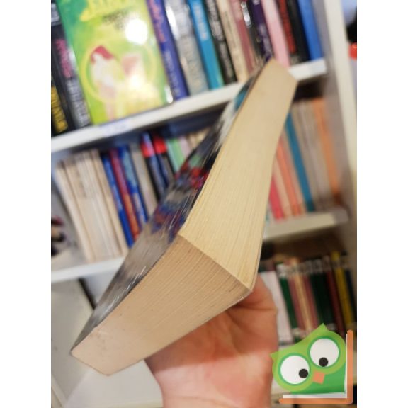 Daniel Silva: Az angol bérgyilkos (Gabriel Allon 2.) (Ritka)