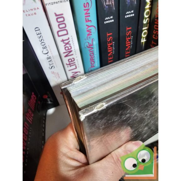 Angela McGerr: Az angyalok hatalma (ritka)