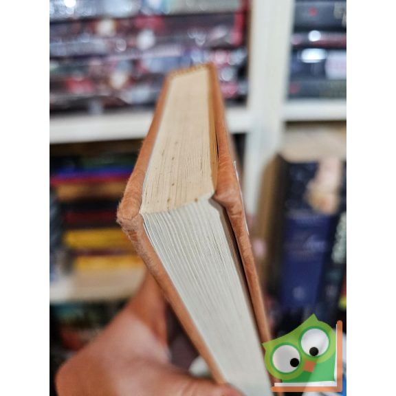 Rejtő Jenő (P. Howard): Az előretolt helyőrség