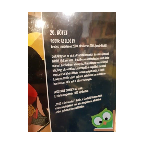 Chuck Dixon, Scott Beatty: Robin: Az első év (DC  20.)